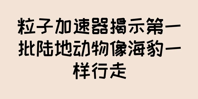 粒子加速器揭示第一批陆地动物像海豹一样行走