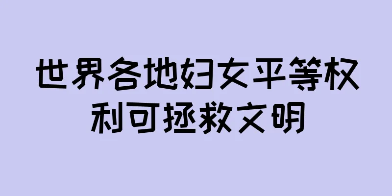 世界各地妇女平等权利可拯救文明