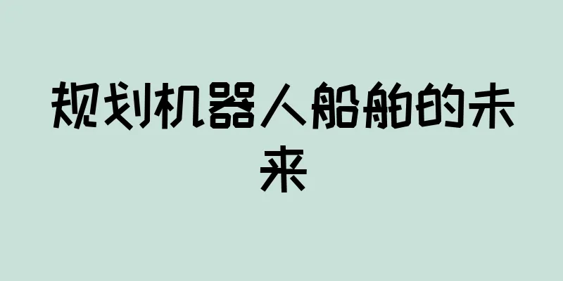 规划机器人船舶的未来