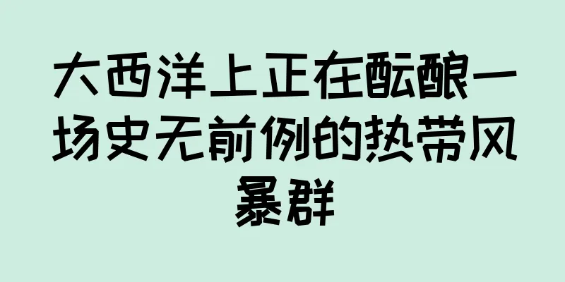 大西洋上正在酝酿一场史无前例的热带风暴群