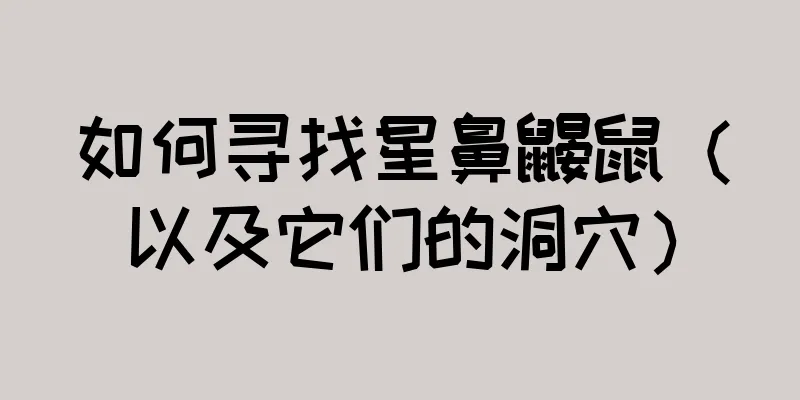 如何寻找星鼻鼹鼠（以及它们的洞穴）