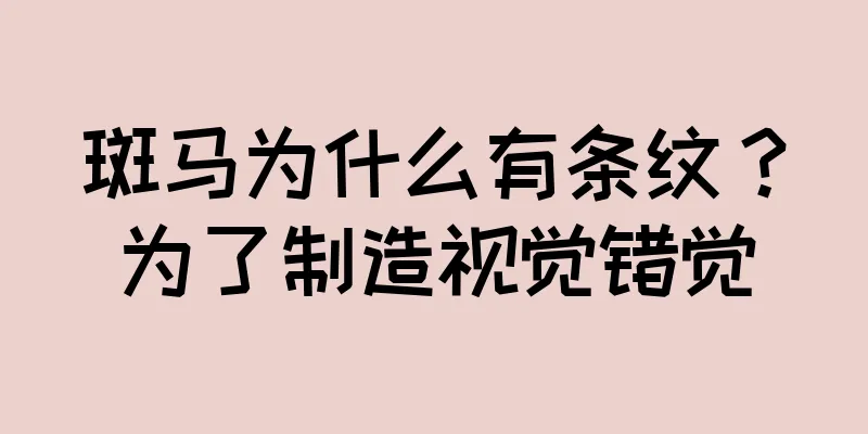 斑马为什么有条纹？为了制造视觉错觉