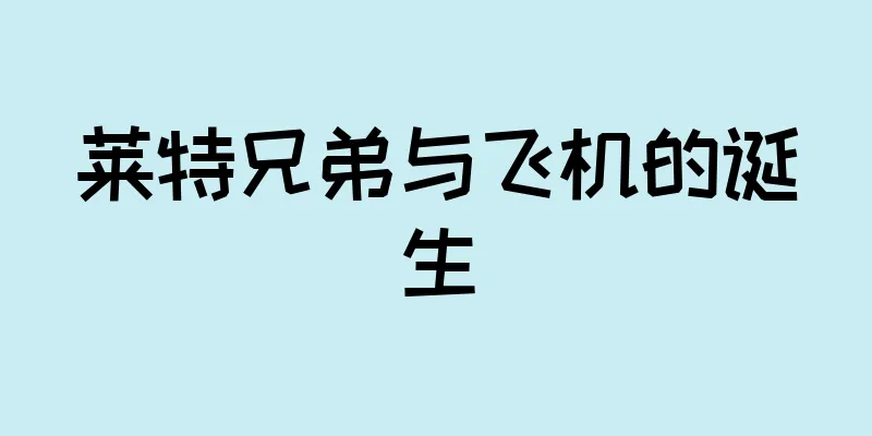莱特兄弟与飞机的诞生