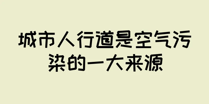 城市人行道是空气污染的一大来源