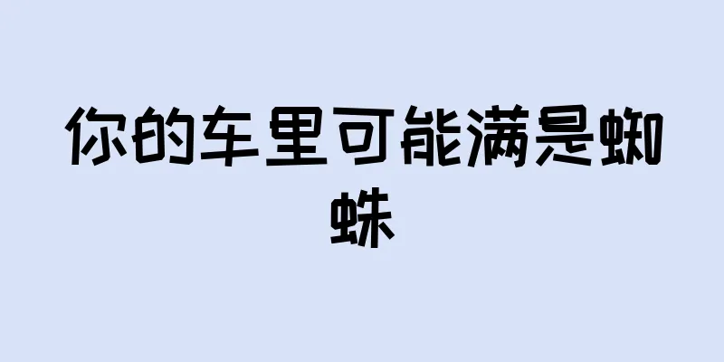 你的车里可能满是蜘蛛