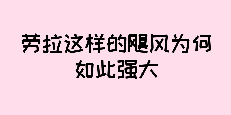 劳拉这样的飓风为何如此强大
