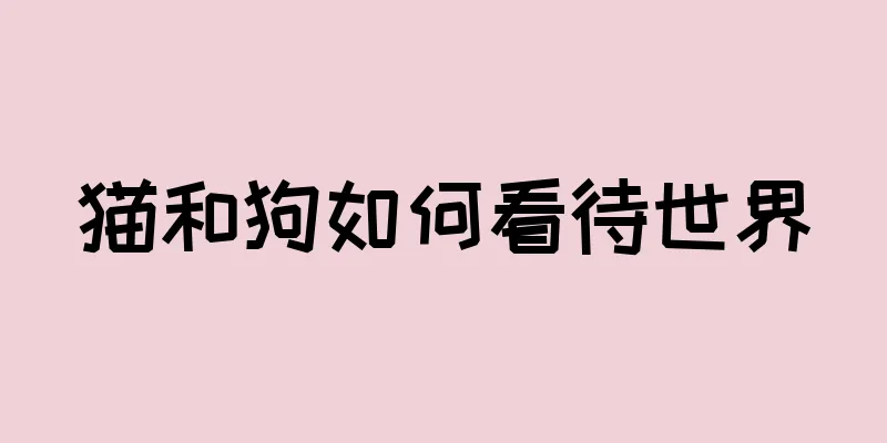 猫和狗如何看待世界
