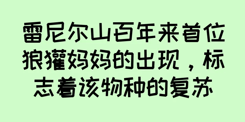 雷尼尔山百年来首位狼獾妈妈的出现，标志着该物种的复苏