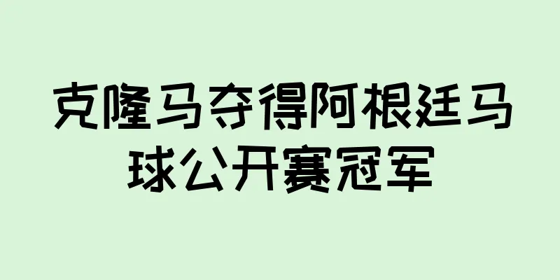 克隆马夺得阿根廷马球公开赛冠军