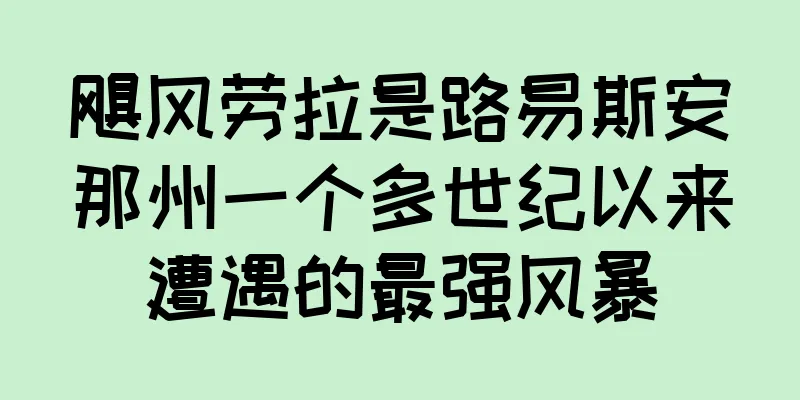 飓风劳拉是路易斯安那州一个多世纪以来遭遇的最强风暴