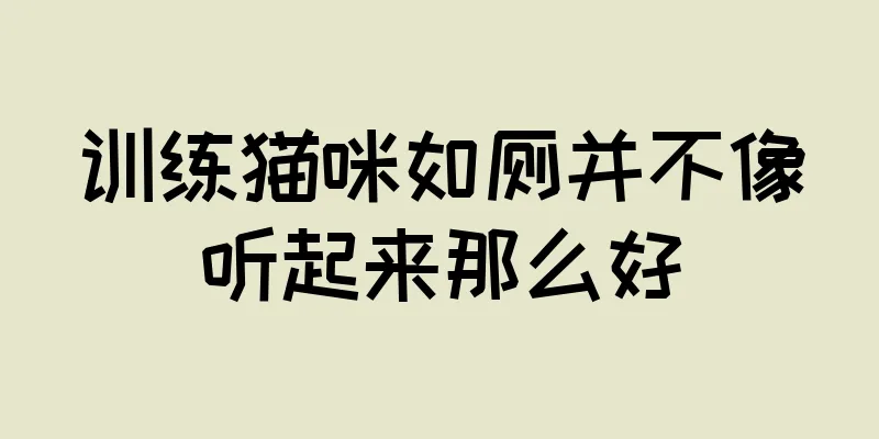 训练猫咪如厕并不像听起来那么好
