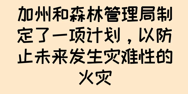 加州和森林管理局制定了一项计划，以防止未来发生灾难性的火灾