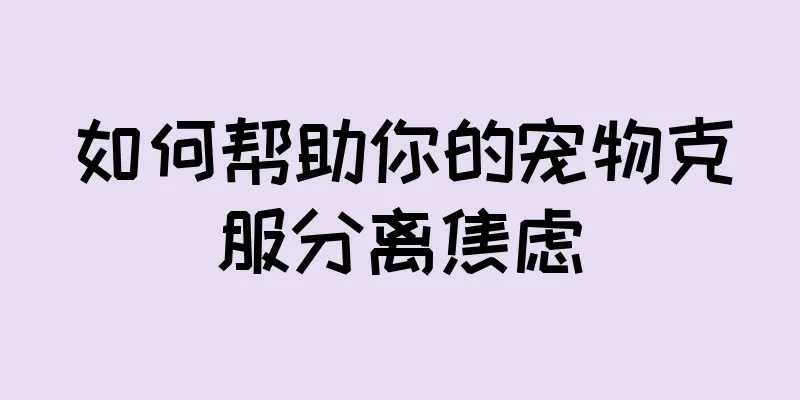如何帮助你的宠物克服分离焦虑