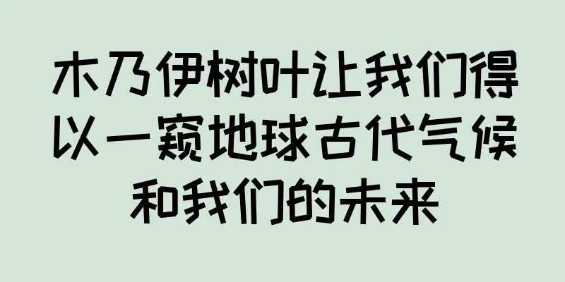 木乃伊树叶让我们得以一窥地球古代气候和我们的未来