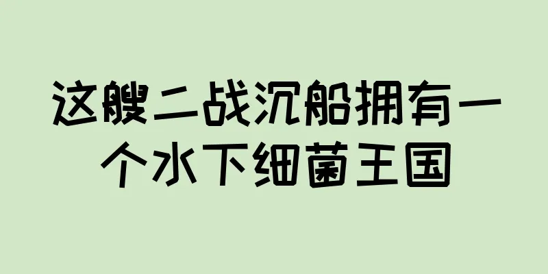 这艘二战沉船拥有一个水下细菌王国