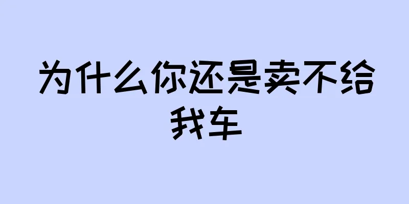 为什么你还是卖不给我车