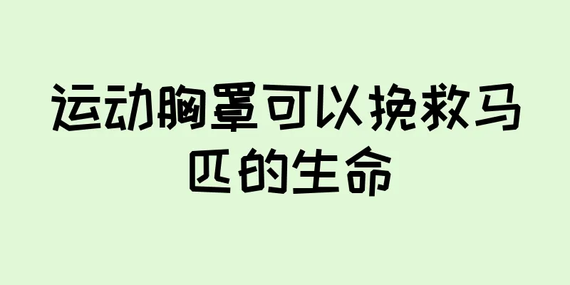 运动胸罩可以挽救马匹的生命