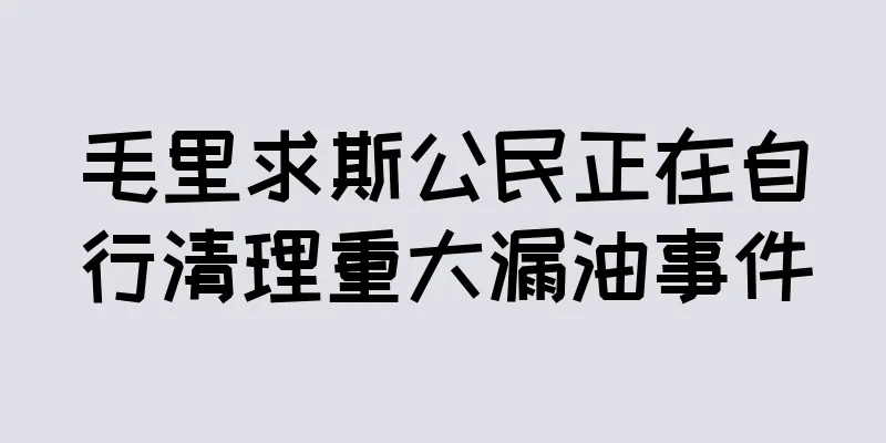 毛里求斯公民正在自行清理重大漏油事件