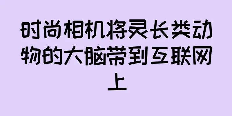 时尚相机将灵长类动物的大脑带到互联网上