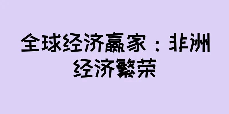 全球经济赢家：非洲经济繁荣