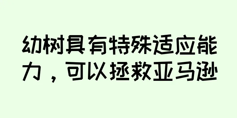 幼树具有特殊适应能力，可以拯救亚马逊