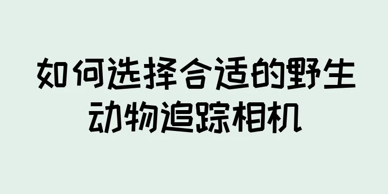 如何选择合适的野生动物追踪相机