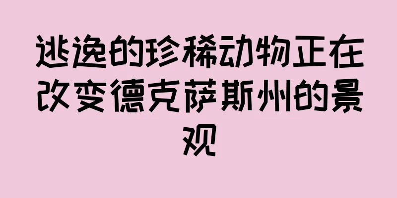 逃逸的珍稀动物正在改变德克萨斯州的景观