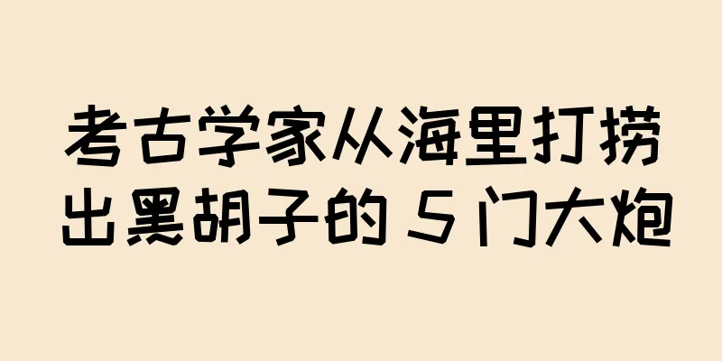 考古学家从海里打捞出黑胡子的 5 门大炮