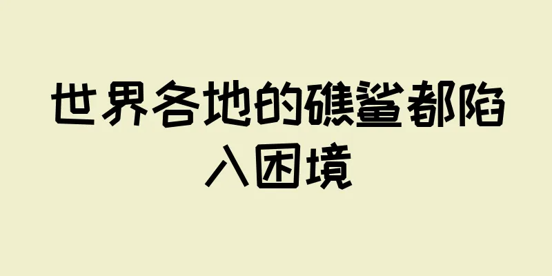 世界各地的礁鲨都陷入困境