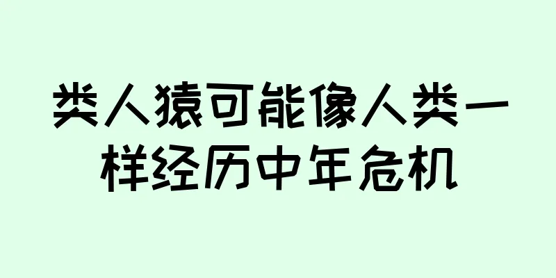 类人猿可能像人类一样经历中年危机