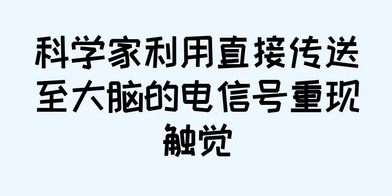 科学家利用直接传送至大脑的电信号重现触觉