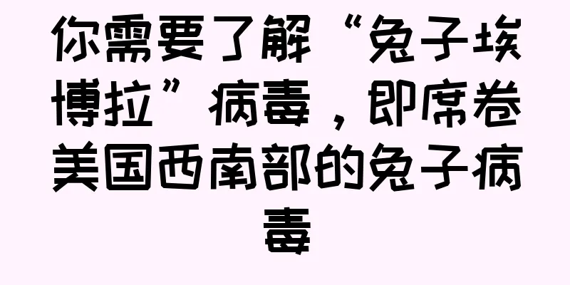 你需要了解“兔子埃博拉”病毒，即席卷美国西南部的兔子病毒