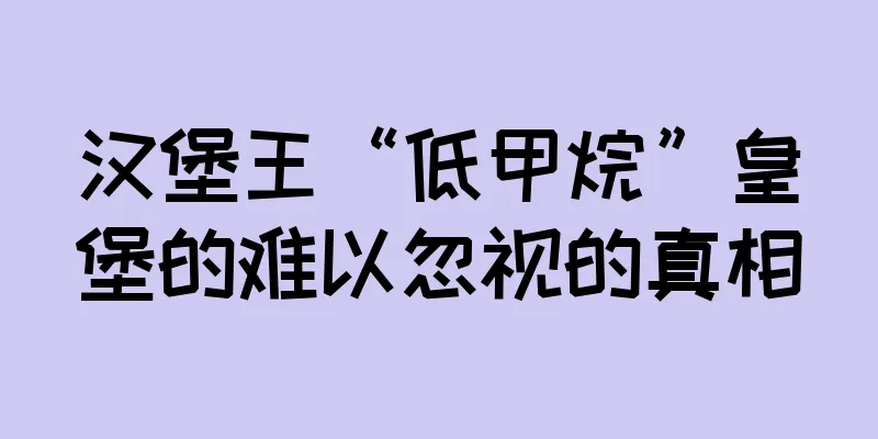 汉堡王“低甲烷”皇堡的难以忽视的真相