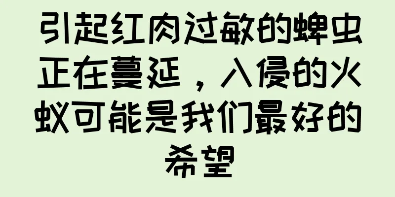 引起红肉过敏的蜱虫正在蔓延，入侵的火蚁可能是我们最好的希望