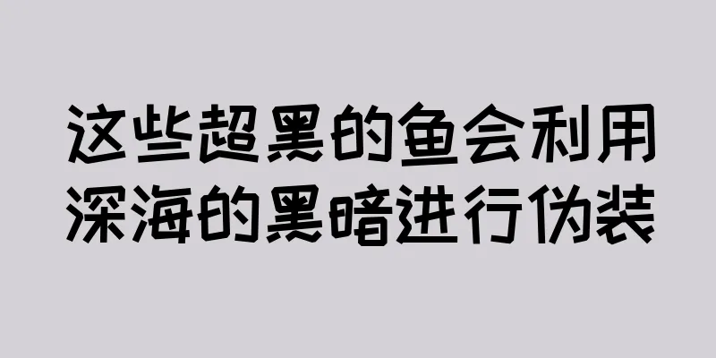 这些超黑的鱼会利用深海的黑暗进行伪装
