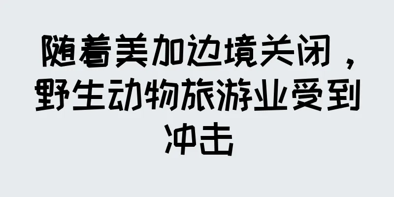 随着美加边境关闭，野生动物旅游业受到冲击