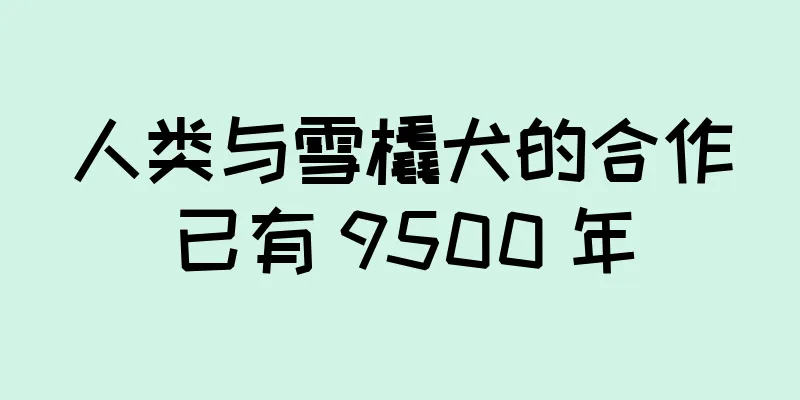人类与雪橇犬的合作已有 9500 年