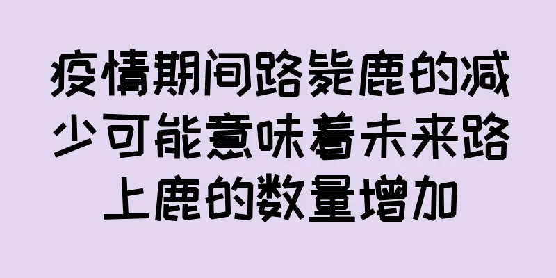 疫情期间路毙鹿的减少可能意味着未来路上鹿的数量增加
