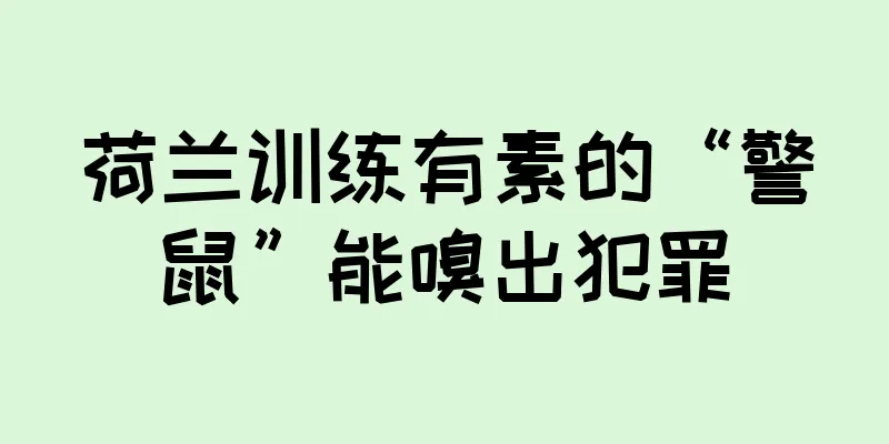 荷兰训练有素的“警鼠”能嗅出犯罪