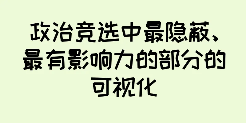 政治竞选中最隐蔽、最有影响力的部分的可视化