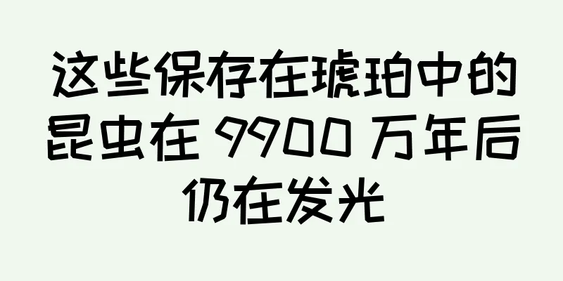 这些保存在琥珀中的昆虫在 9900 万年后仍在发光