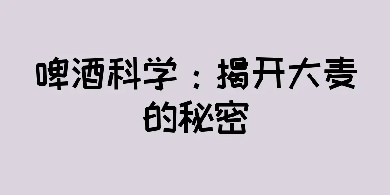 啤酒科学：揭开大麦的秘密