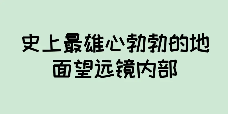 史上最雄心勃勃的地面望远镜内部