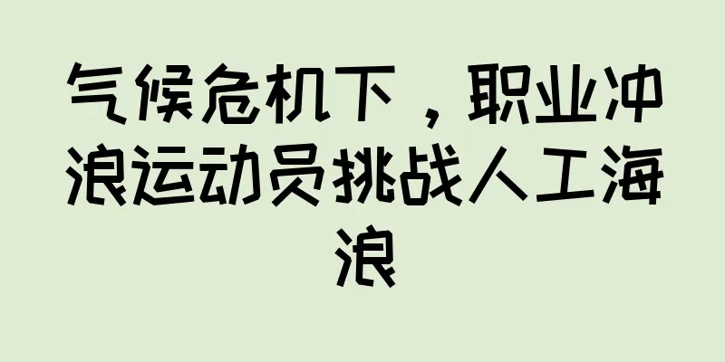 气候危机下，职业冲浪运动员挑战人工海浪
