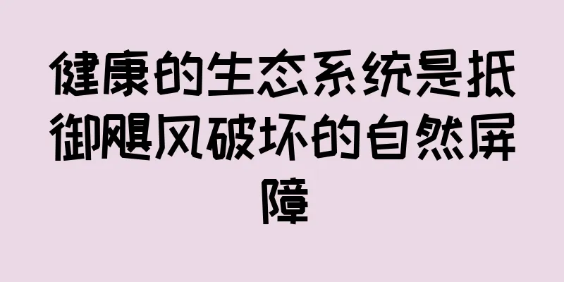 健康的生态系统是抵御飓风破坏的自然屏障
