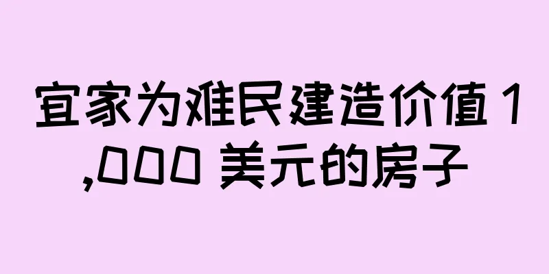 宜家为难民建造价值 1,000 美元的房子