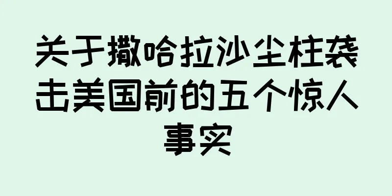 关于撒哈拉沙尘柱袭击美国前的五个惊人事实
