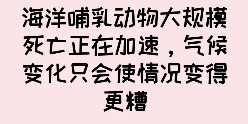 海洋哺乳动物大规模死亡正在加速，气候变化只会使情况变得更糟