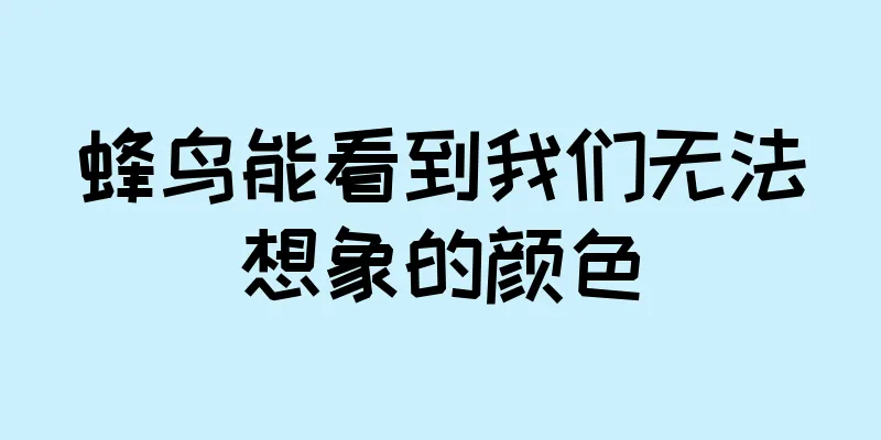 蜂鸟能看到我们无法想象的颜色