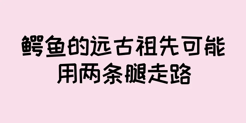鳄鱼的远古祖先可能用两条腿走路